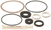 POWERS 227338 GASKET AND DISC KIT